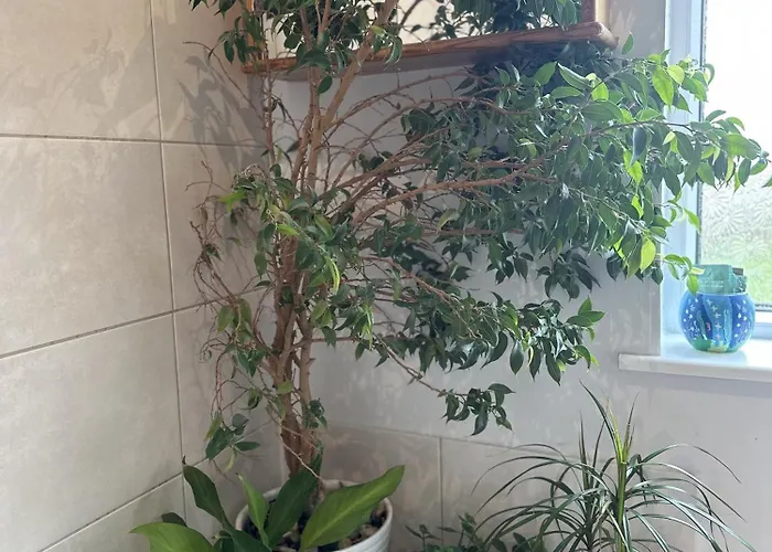 Peaceful Family Retreat Near Gloucester Road Bristol