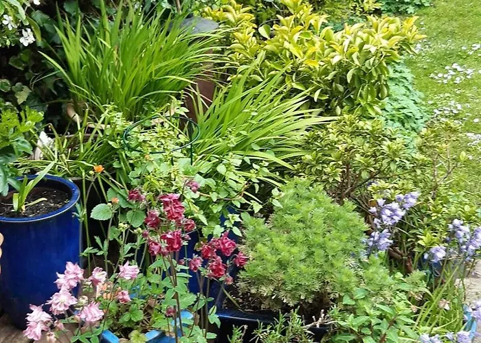 Holiday home Peaceful Family Retreat Near Gloucester Road