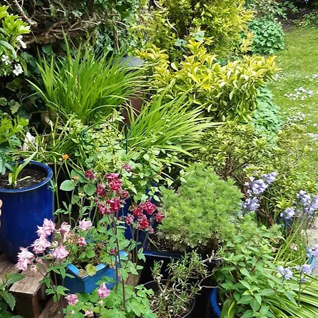 Сasa de vacaciones Peaceful Family Retreat Near Gloucester Road